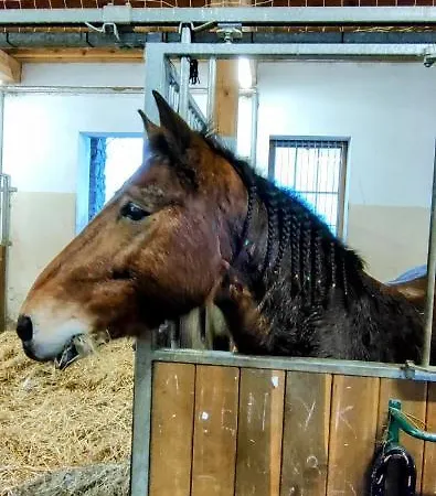 Sopockie Santorini * Σόποτ